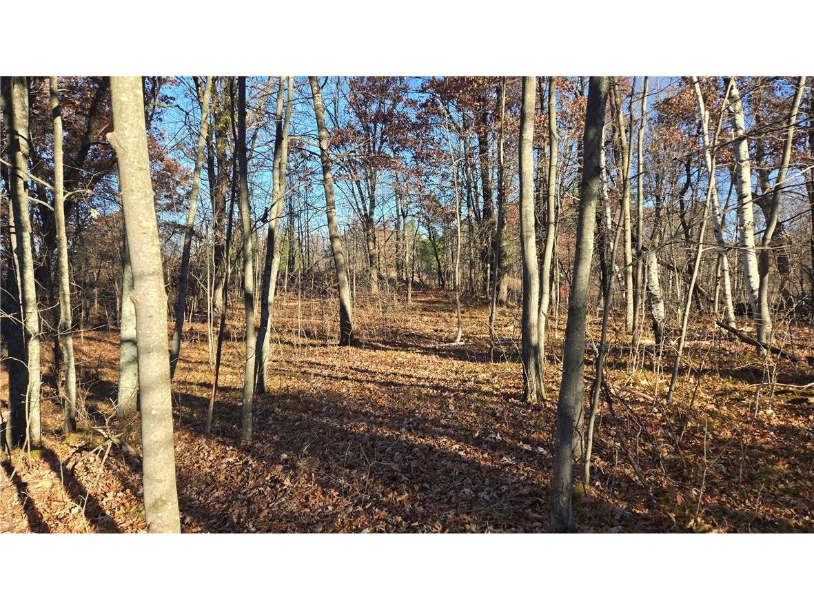 15573 State Hwy 64 Bloomer WI 54724 1596901 image21