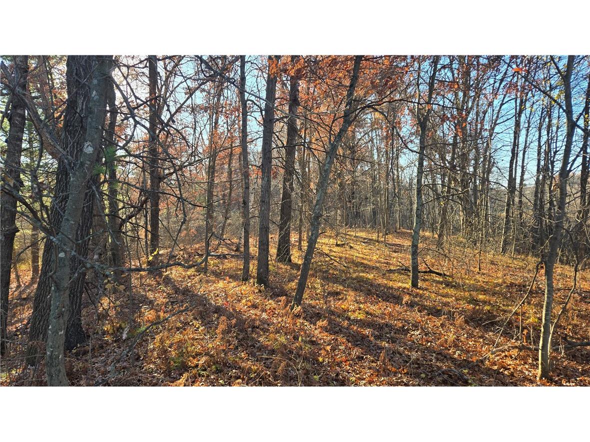 15573 State Hwy 64 Bloomer WI 54724 1596901 image22