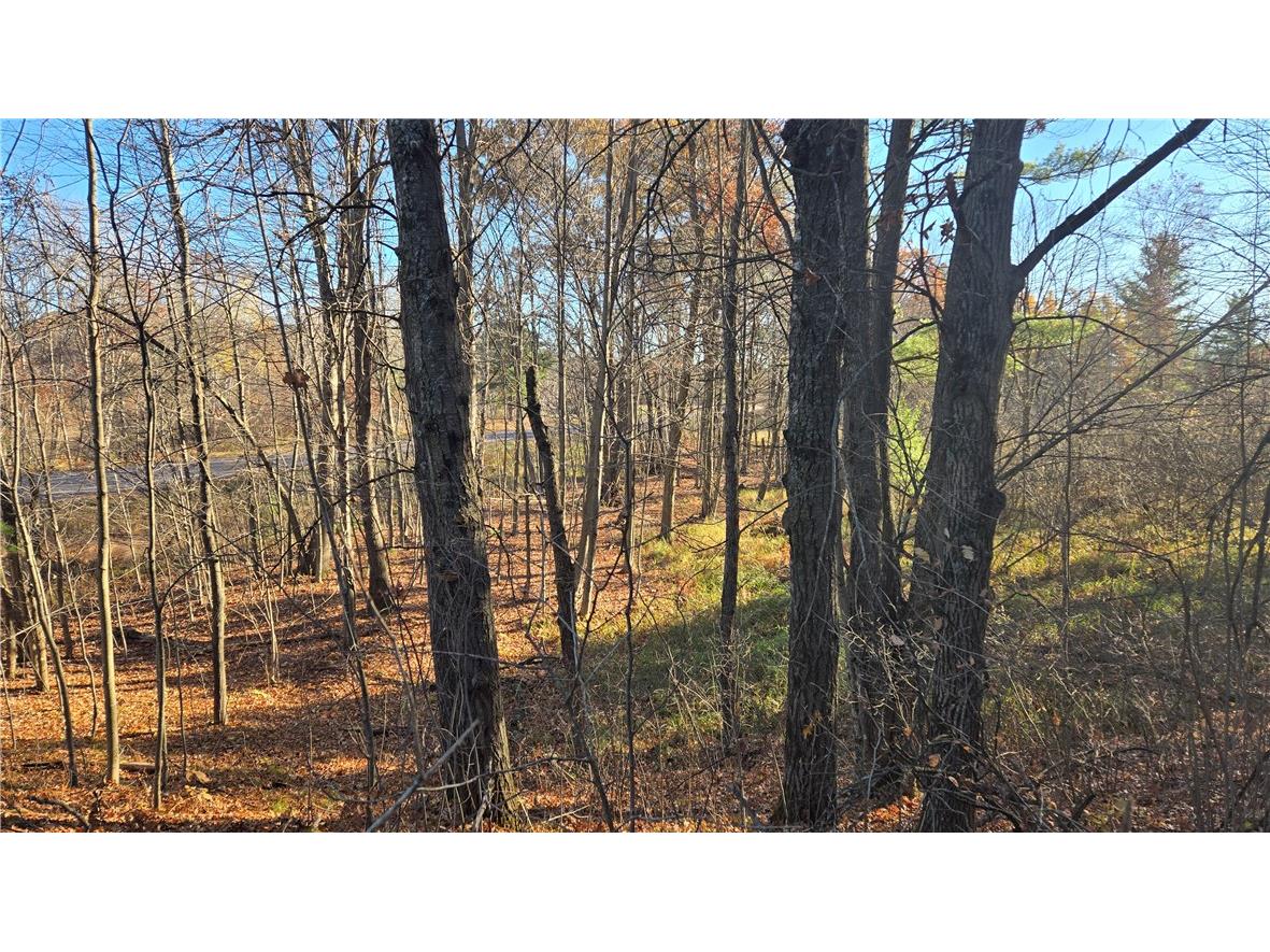 15573 State Hwy 64 Bloomer WI 54724 1596901 image23