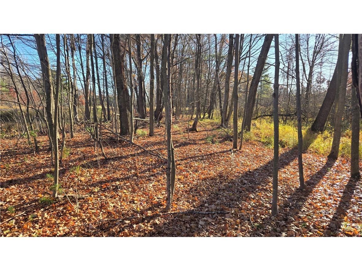 15573 State Hwy 64 Bloomer WI 54724 1596901 image24