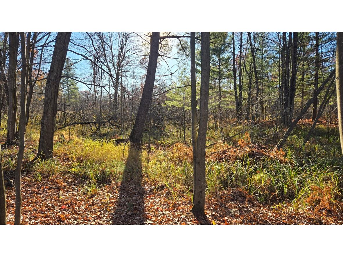 15573 State Hwy 64 Bloomer WI 54724 1596901 image25