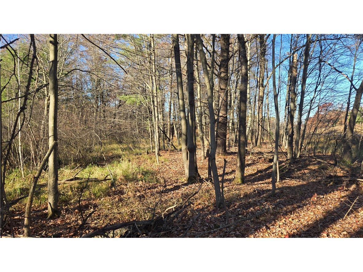 15573 State Hwy 64 Bloomer WI 54724 1596901 image26