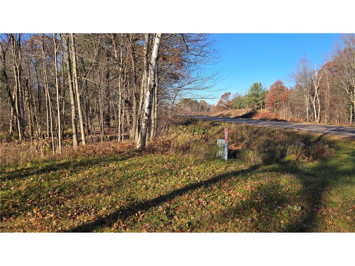 15573 State Hwy 64 Bloomer WI 54724 1596901 image27