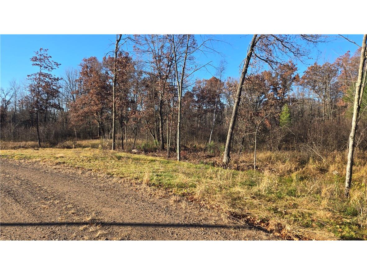 15573 State Hwy 64 Bloomer WI 54724 1596901 image29