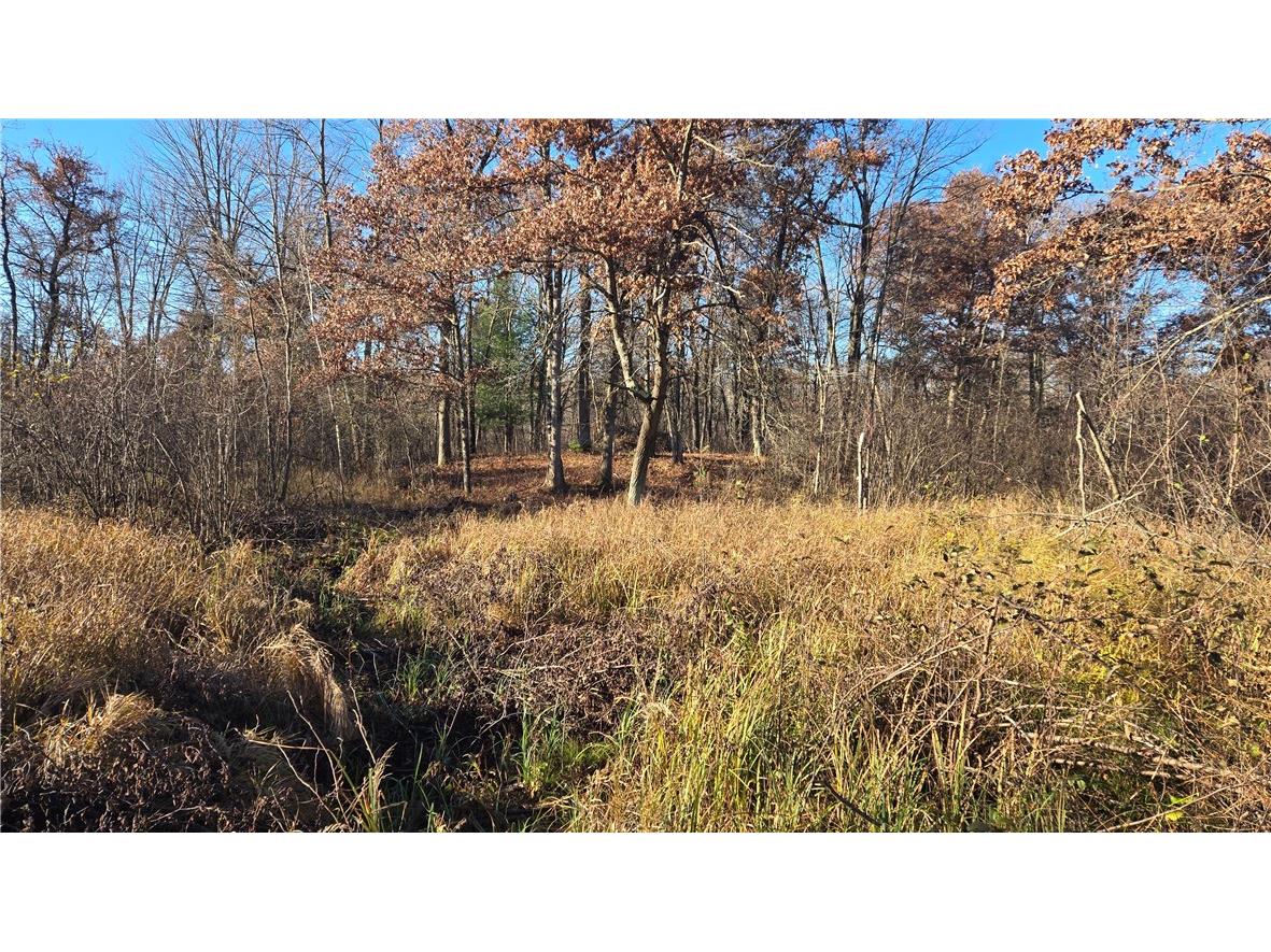 15573 State Hwy 64 Bloomer WI 54724 1596901 image30