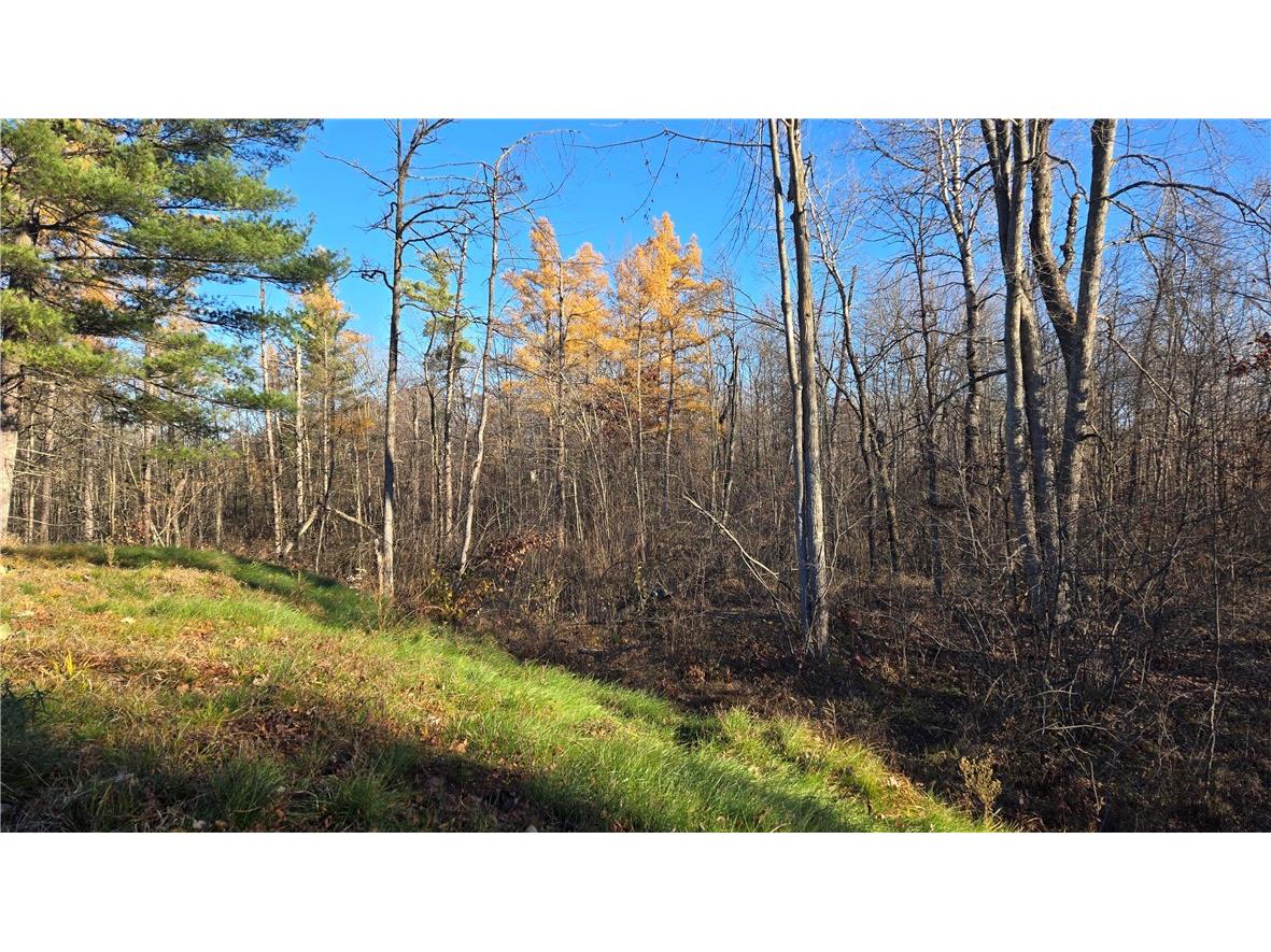 15573 State Hwy 64 Bloomer WI 54724 1596901 image4