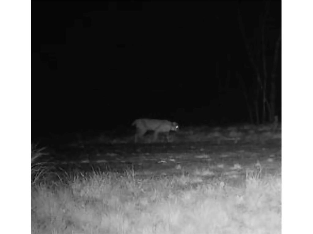 15573 State Hwy 64 Bloomer WI 54724 1596901 image43