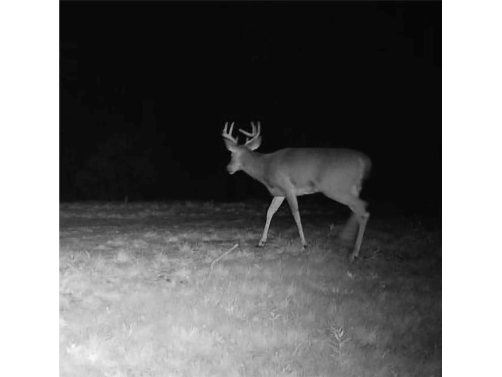 15573 State Hwy 64 Bloomer WI 54724 1596901 image44