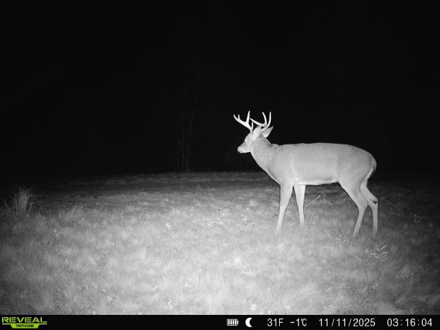 15573 State Hwy 64 Bloomer WI 54724 1596901 image45