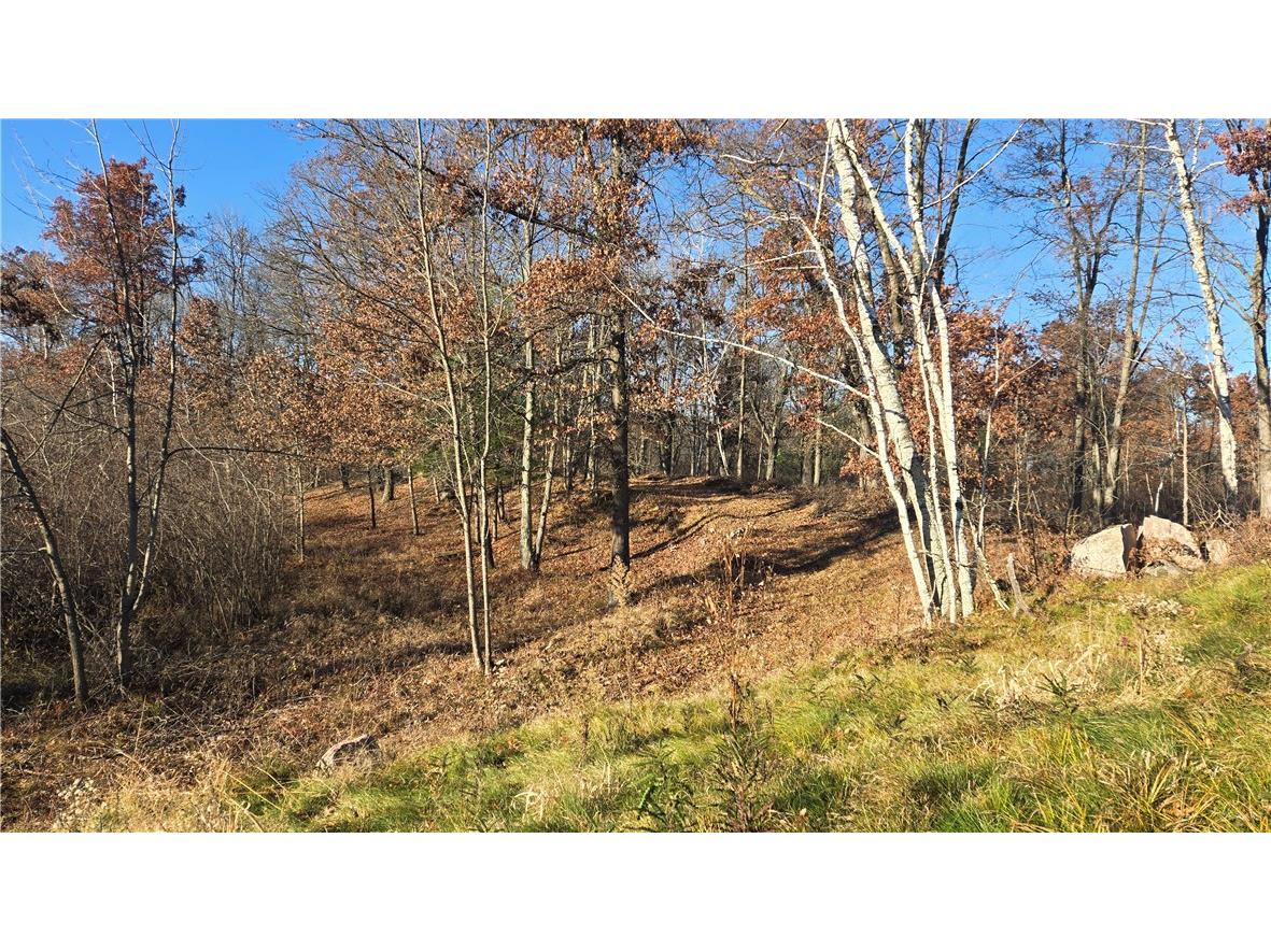 15573 State Hwy 64 Bloomer WI 54724 1596901 image6