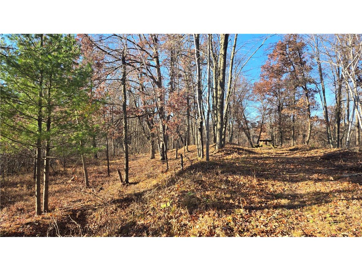 15573 State Hwy 64 Bloomer WI 54724 1596901 image7