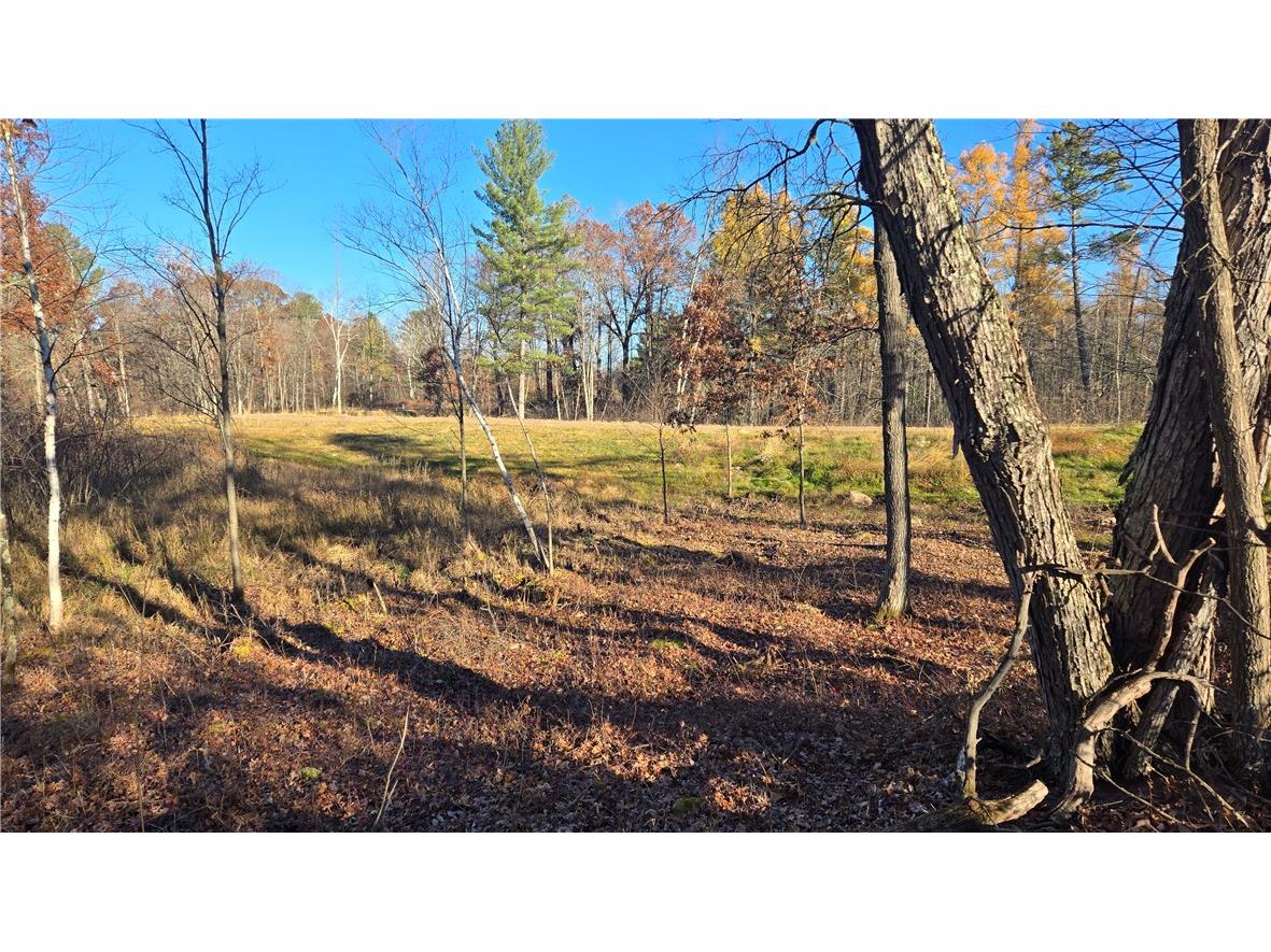 15573 State Hwy 64 Bloomer WI 54724 1596901 image8