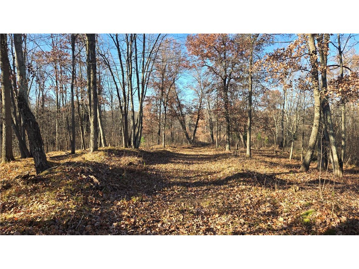 15573 State Hwy 64 Bloomer WI 54724 1596901 image9