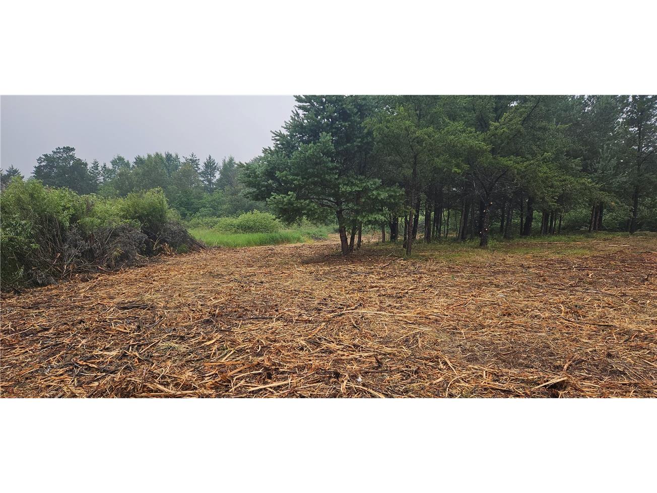 15590 Windrose Lane Hayward WI 54843 1592442 image10