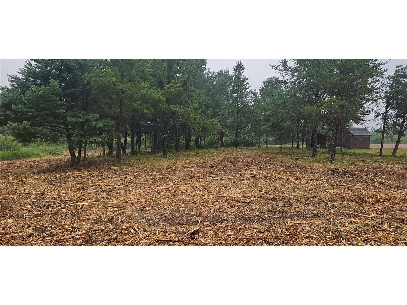 15590 Windrose Lane Hayward WI 54843 1592442 image11