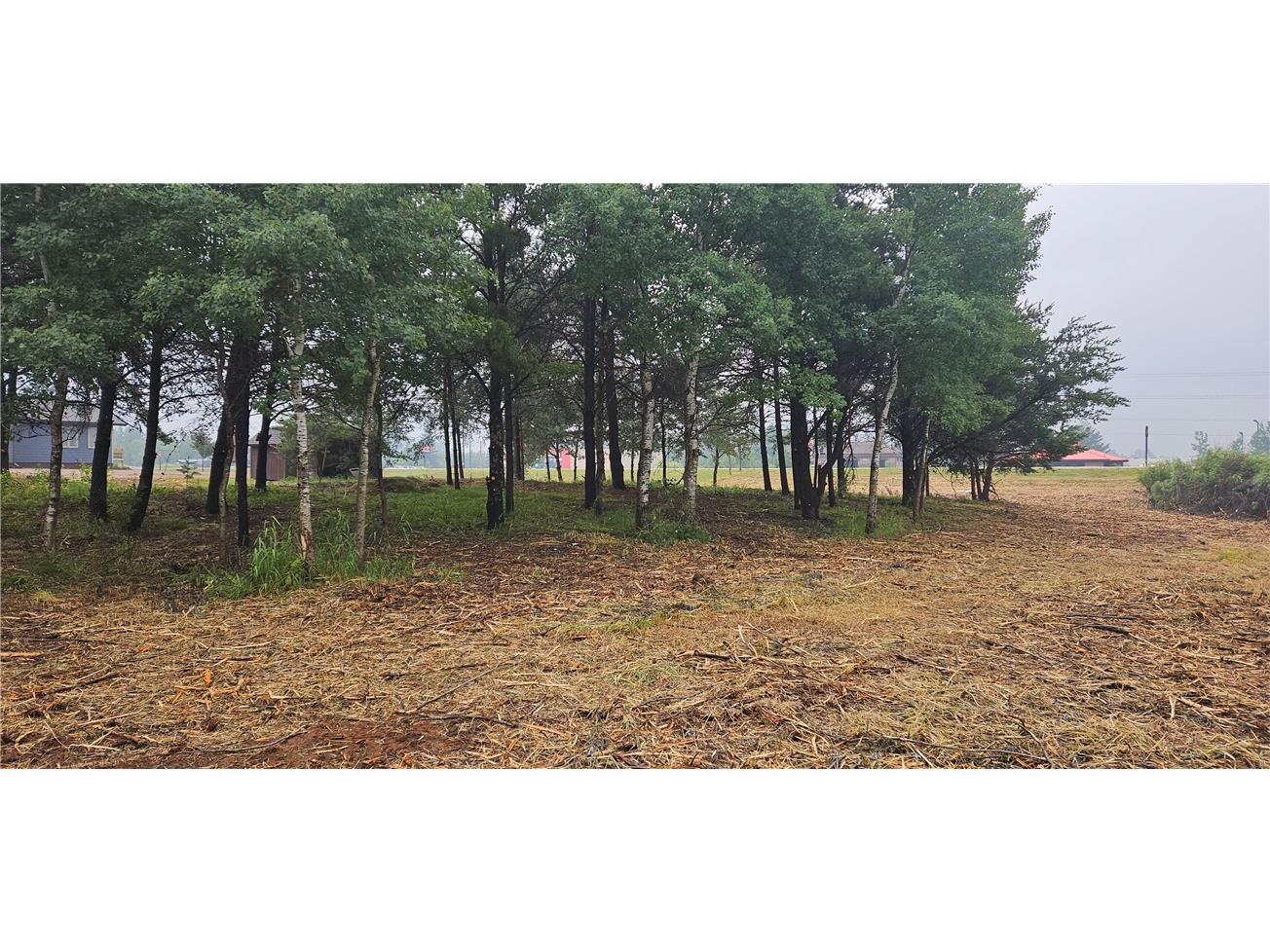 15590 Windrose Lane Hayward WI 54843 1592442 image12