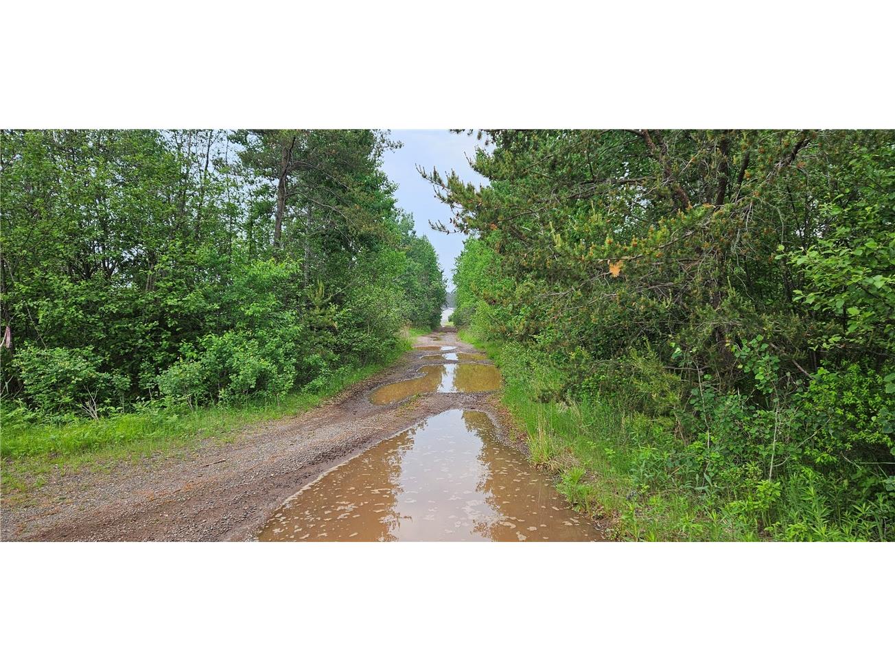 15590 Windrose Lane Hayward WI 54843 1592442 image3