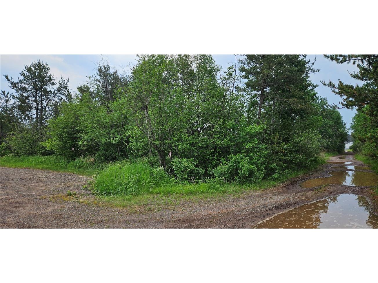 15590 Windrose Lane Hayward WI 54843 1592442 image4