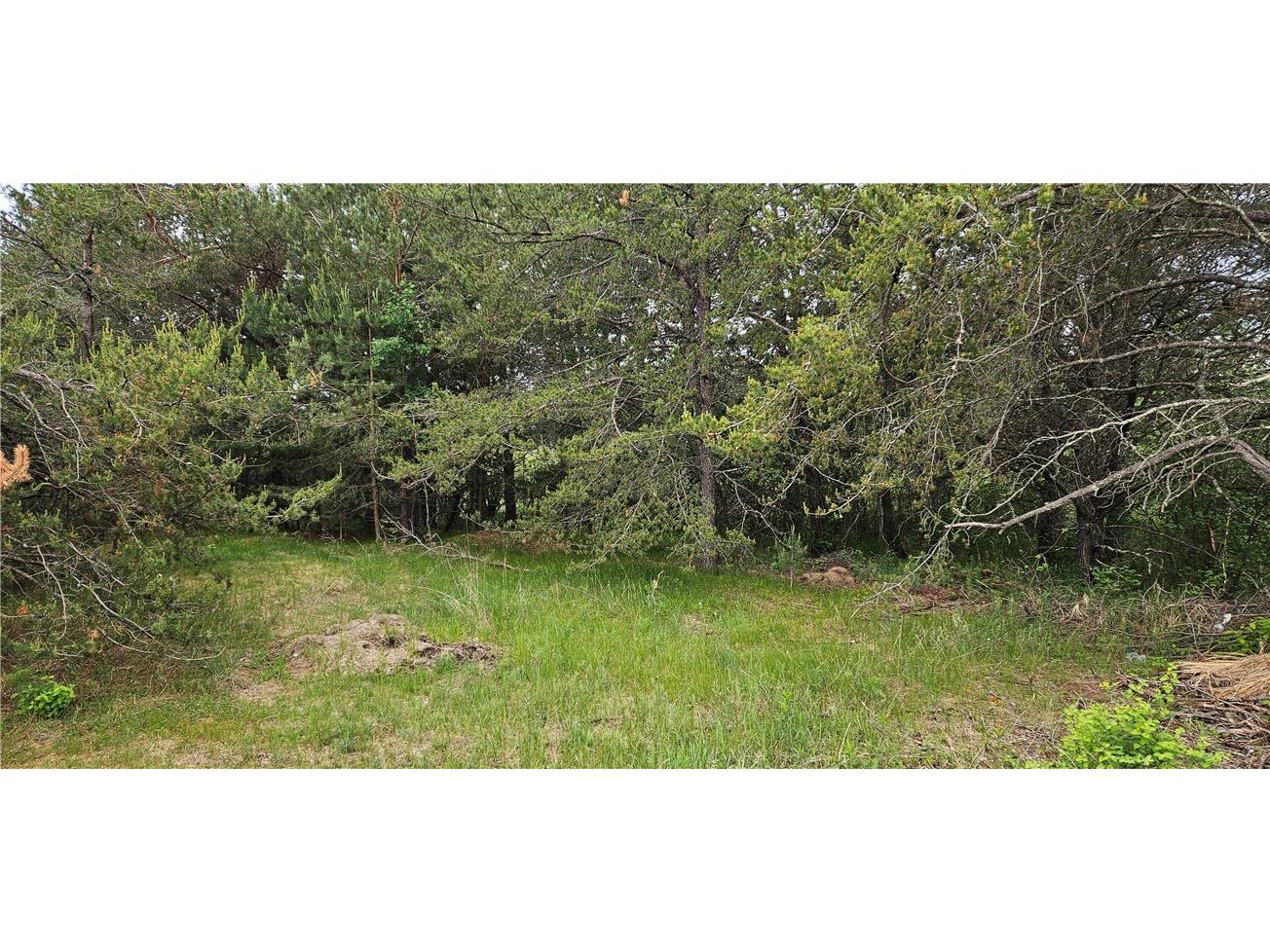 15590 Windrose Lane Hayward WI 54843 1592442 image5