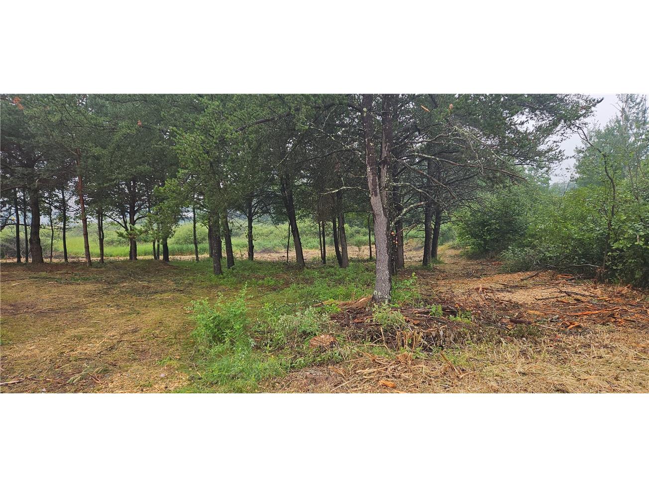 15590 Windrose Lane Hayward WI 54843 1592442 image6