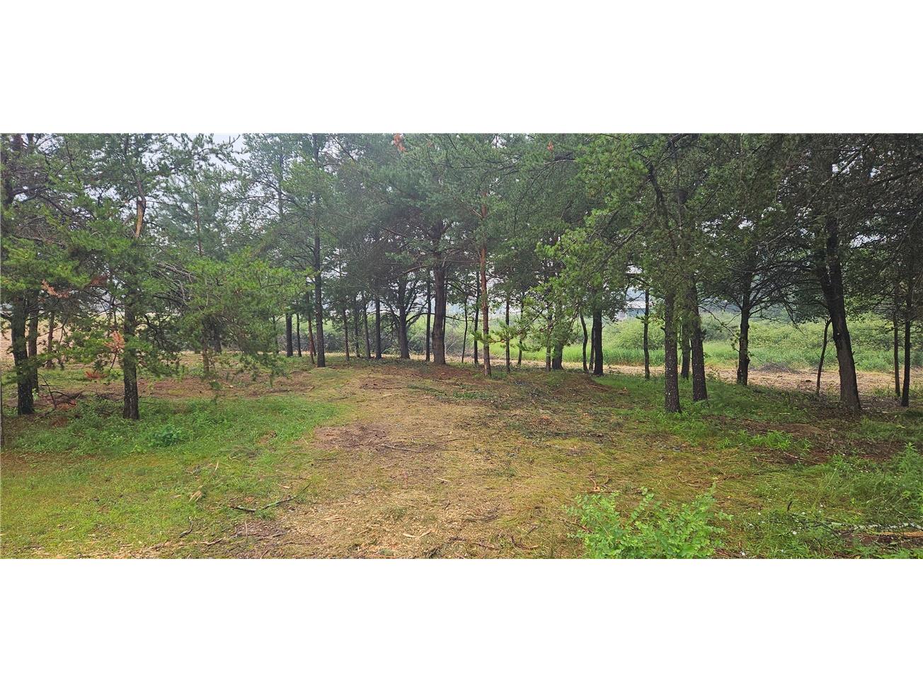 15590 Windrose Lane Hayward WI 54843 1592442 image7