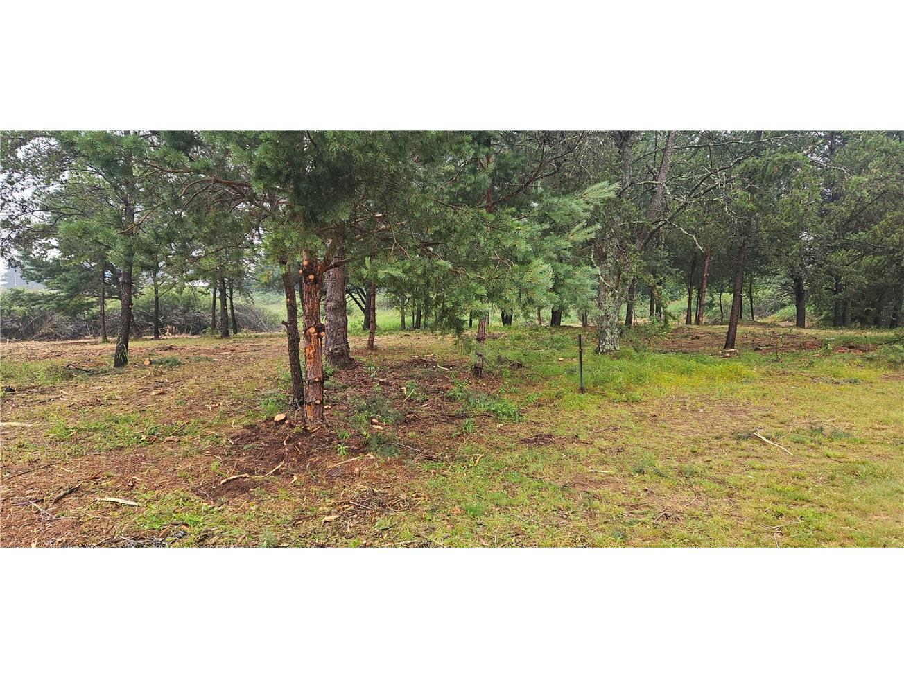 15590 Windrose Lane Hayward WI 54843 1592442 image9