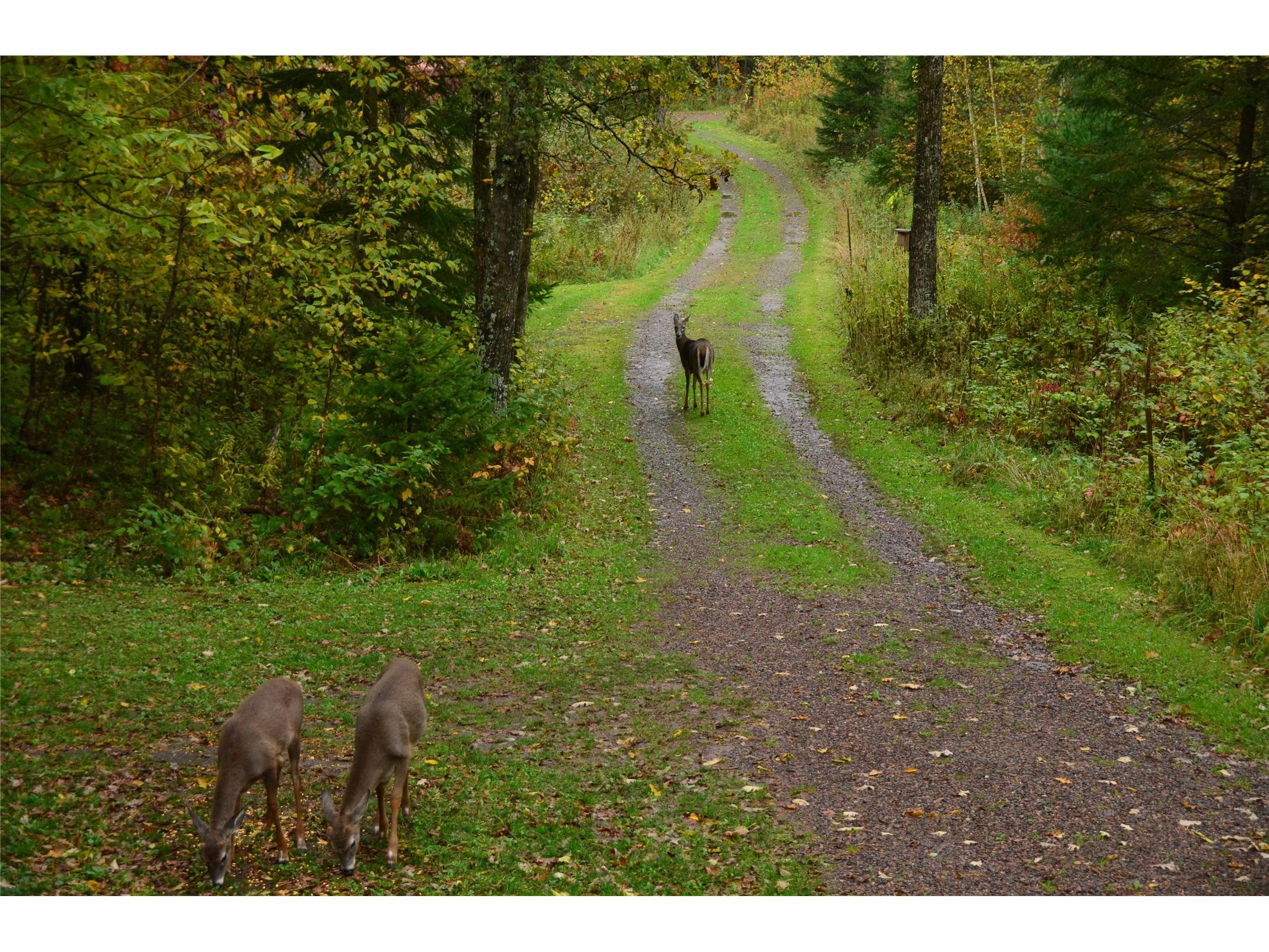 15594 W Deer Lane Birchwood WI 54817 1599646 image42