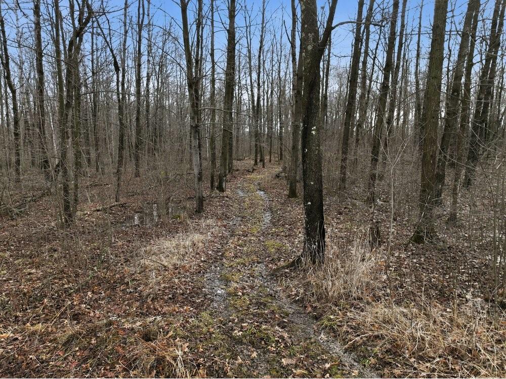 15595 170th Street Jim Falls WI 54748 1599774 image40