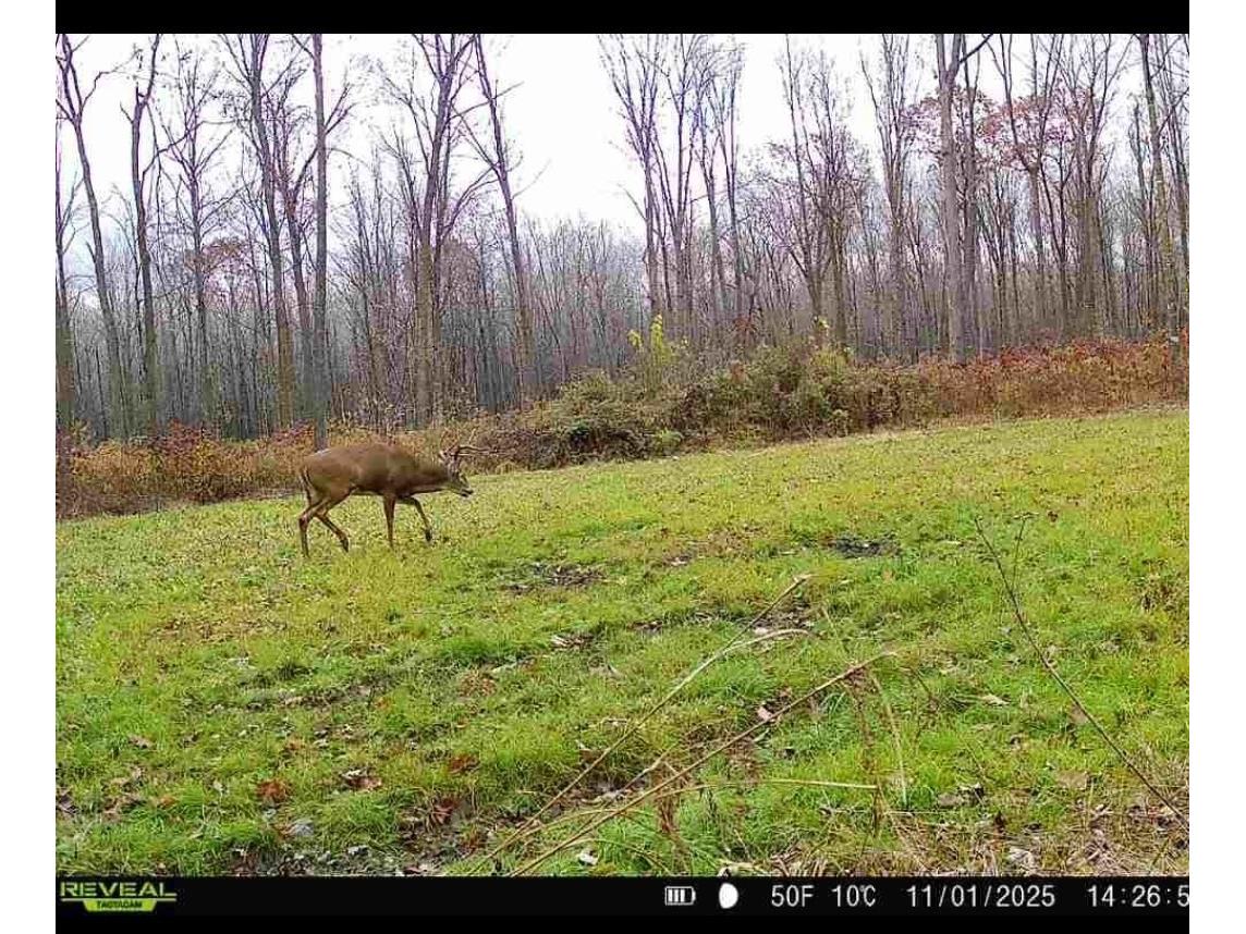 1563 N Helena Drive Holcombe WI 54731 1599546 image17