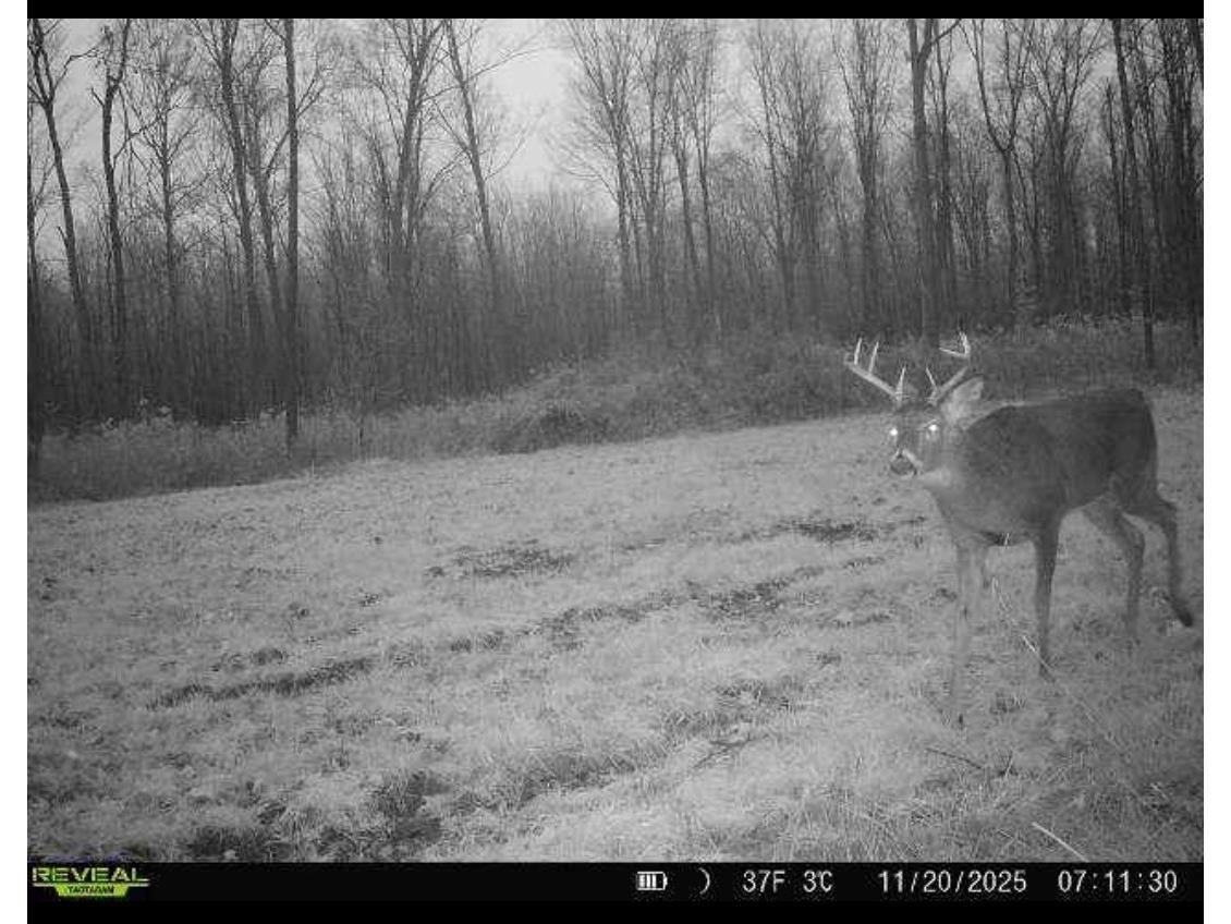 1563 N Helena Drive Holcombe WI 54731 1599546 image18
