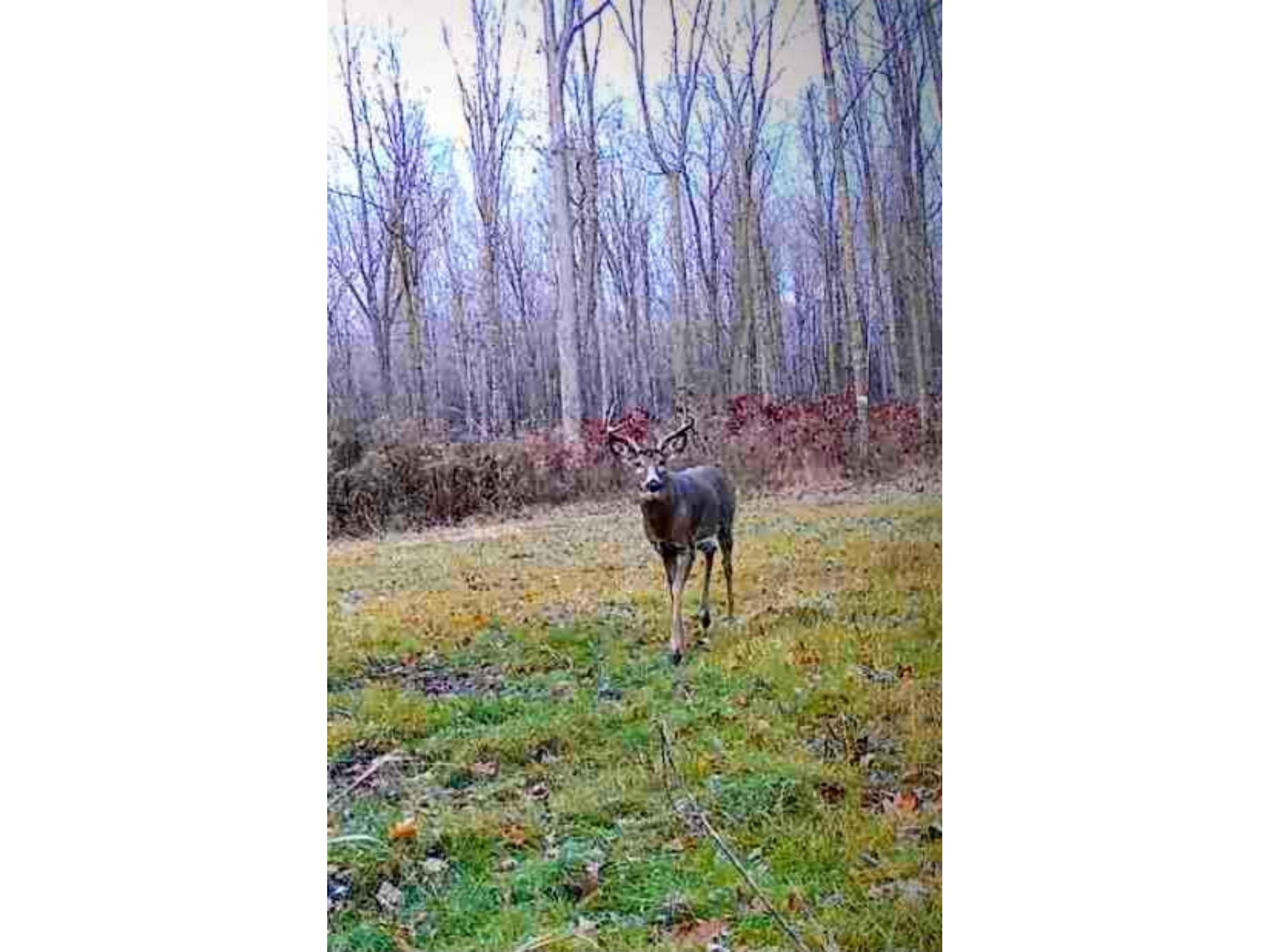 1563 N Helena Drive Holcombe WI 54731 1599546 image20