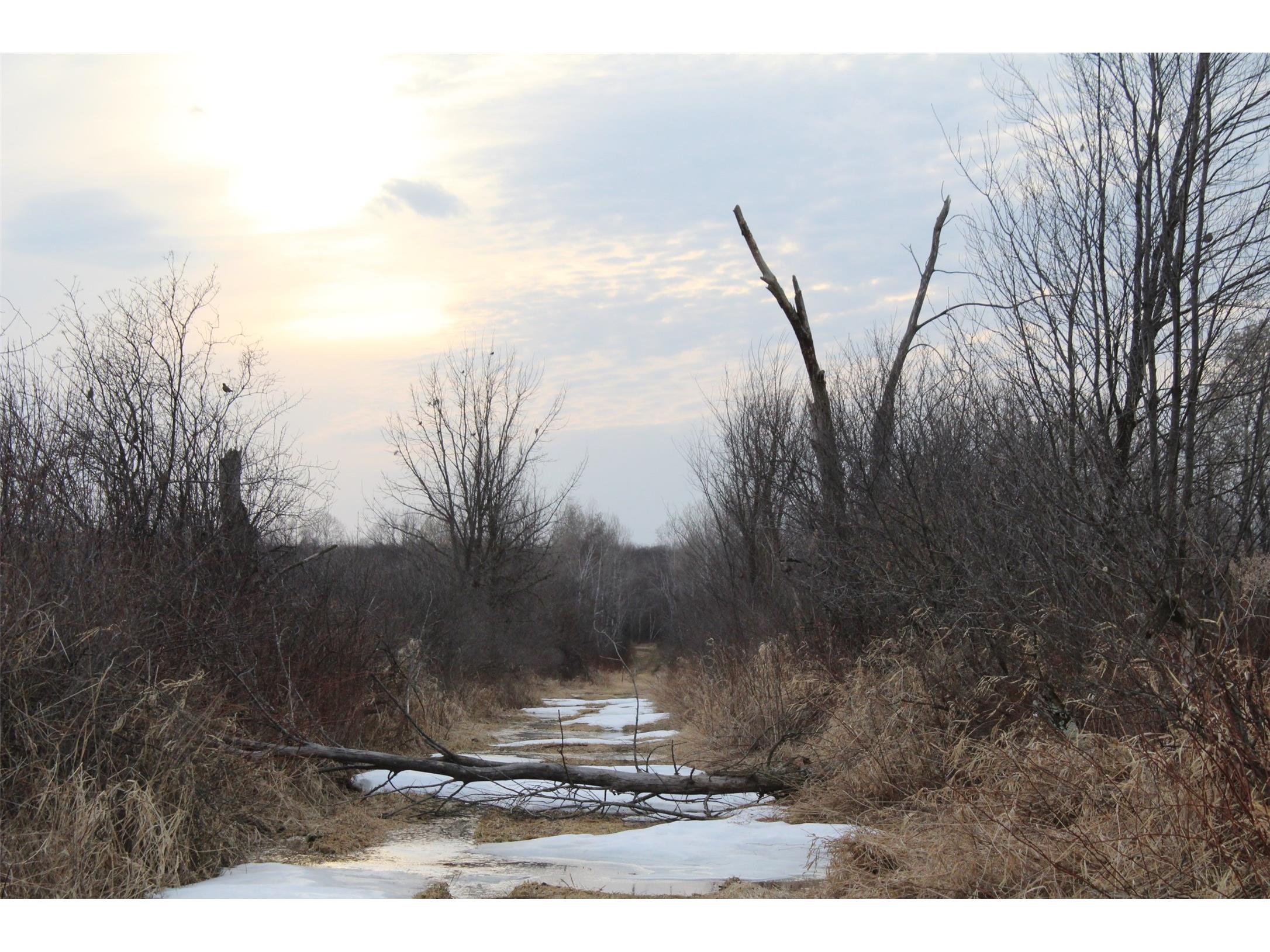 1563 N Helena Drive Holcombe WI 54731 1599546 image21