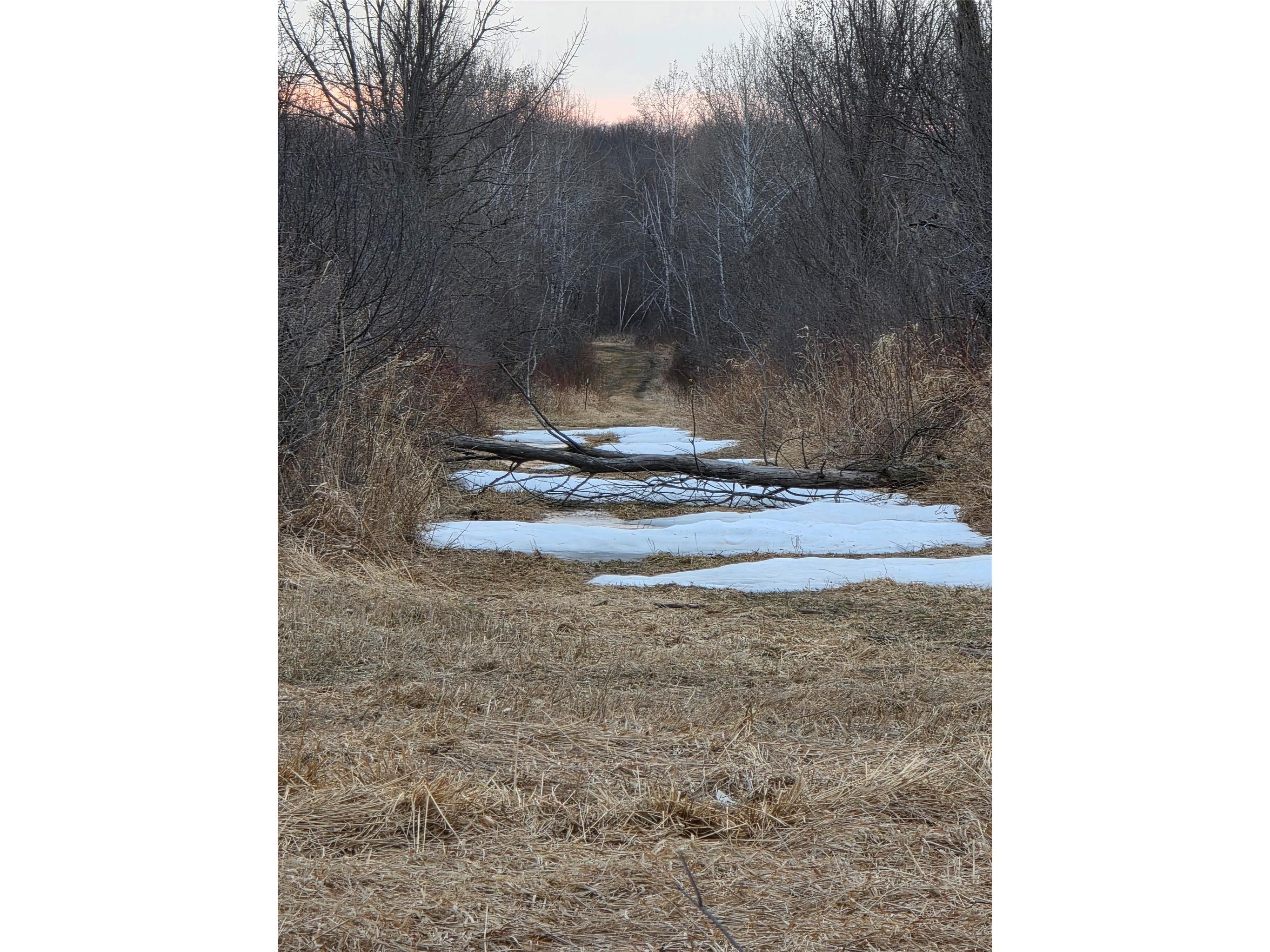 1563 N Helena Drive Holcombe WI 54731 1599546 image22