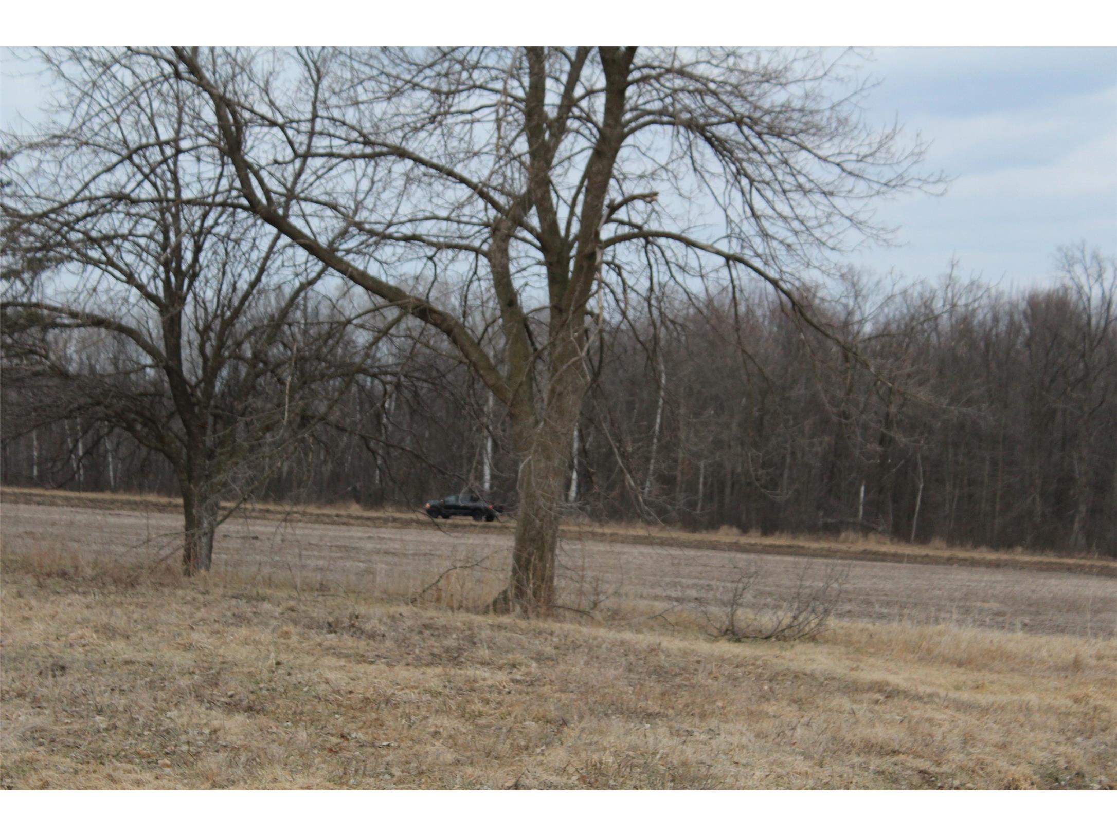 1563 N Helena Drive Holcombe WI 54731 1599546 image24
