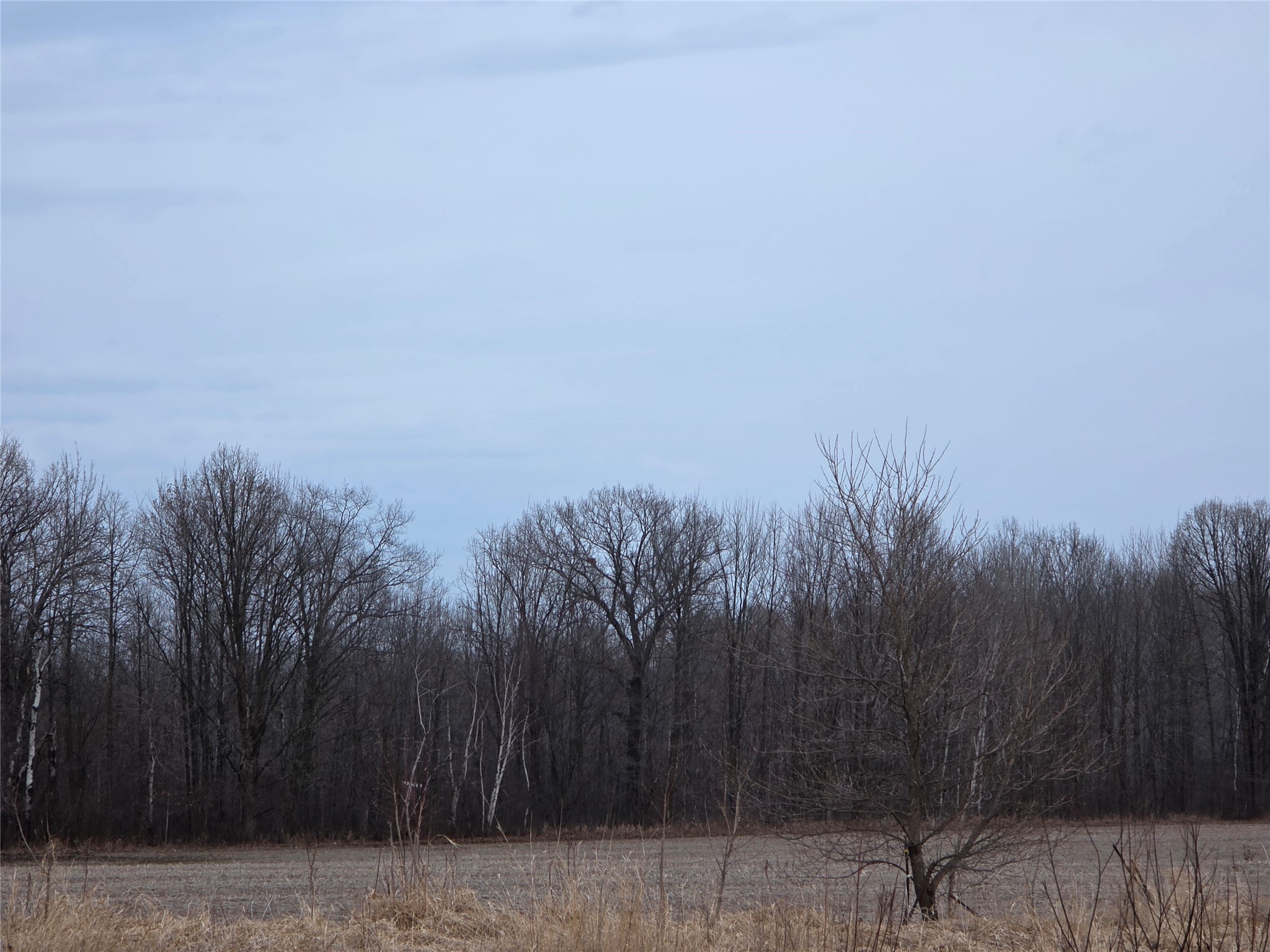 1563 N Helena Drive Holcombe WI 54731 1599546 image28