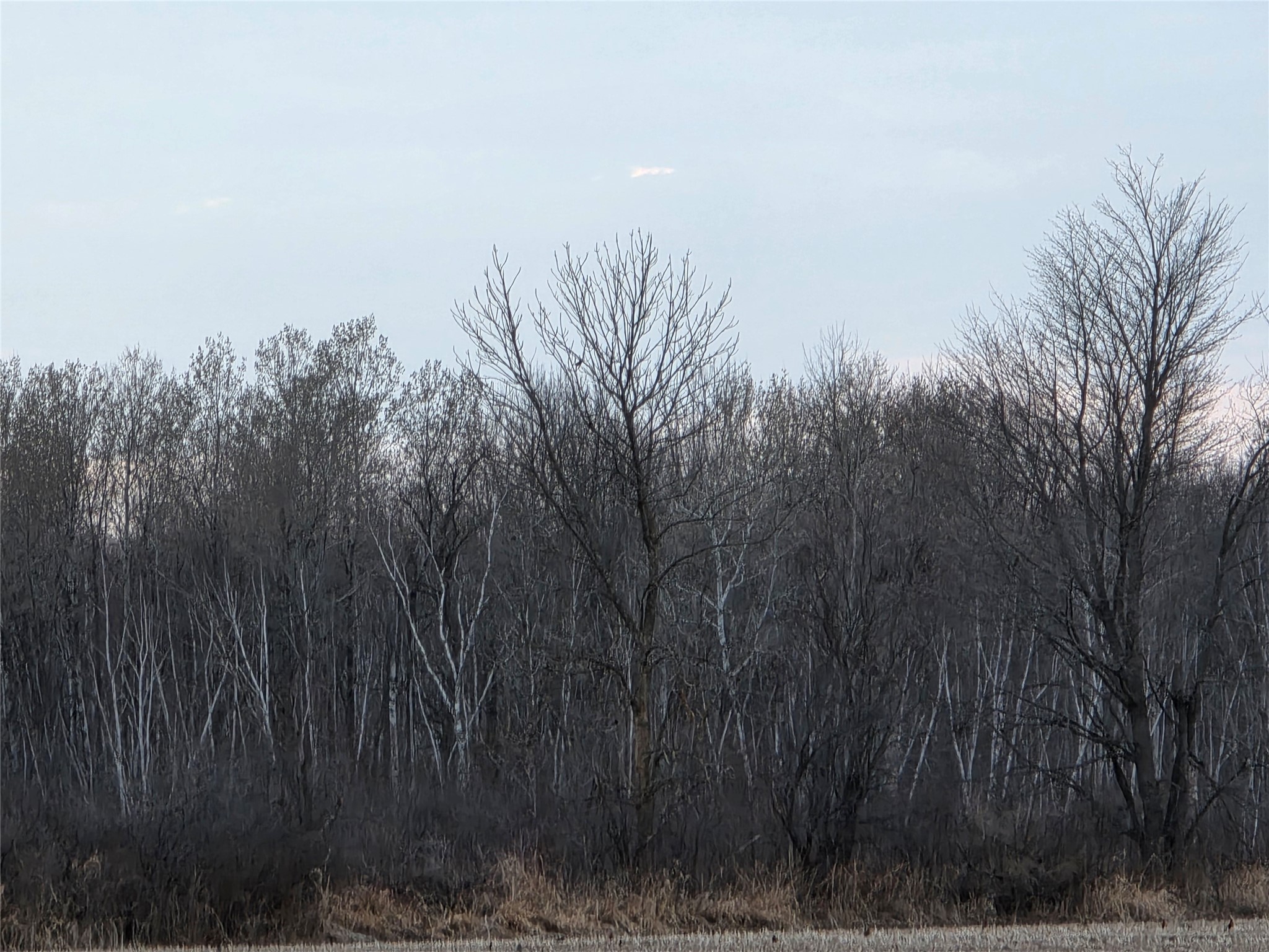 1563 N Helena Drive Holcombe WI 54731 1599546 image32