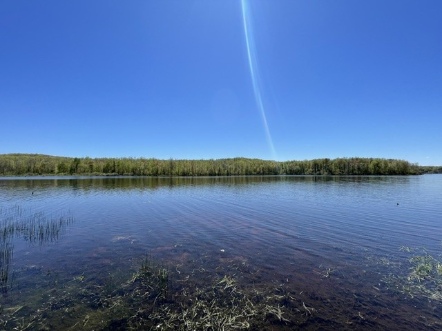 15657W Lakewood Lane Hayward WI 54843 - Nelson Lake 1601481 image23