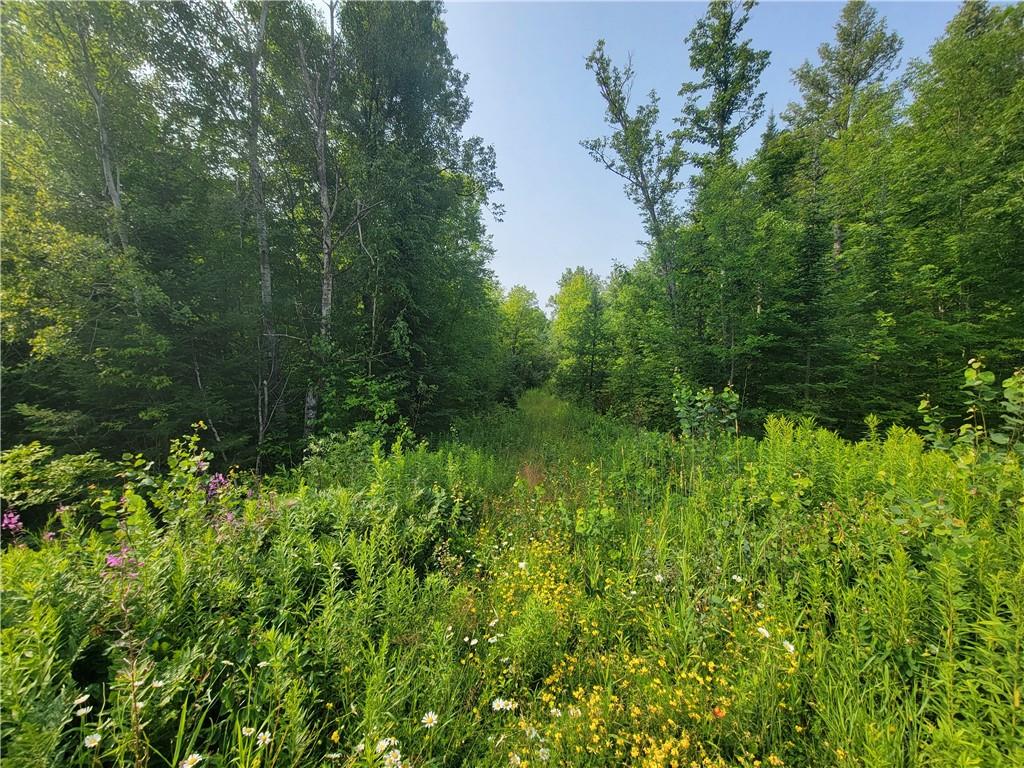 158.86 acres Hwy W Winter WI 54896 - Thornapple River &Beaver Creek 1572568 image1