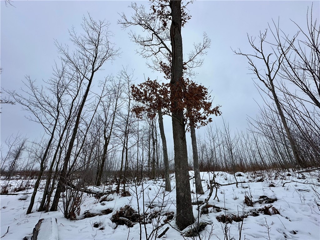 1581 50th Street Turtle Lake WI 54889 1597887 image10