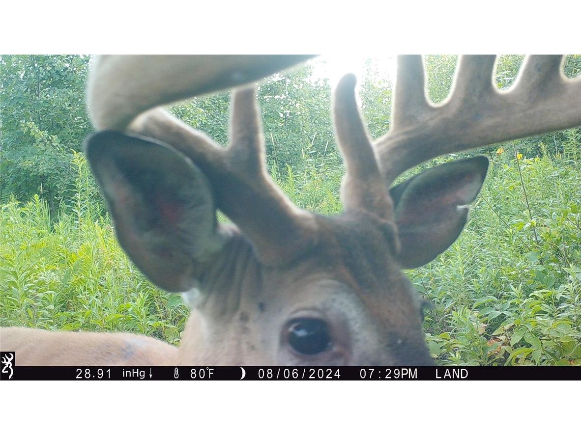 1581 50th Street Turtle Lake WI 54889 1597887 image11