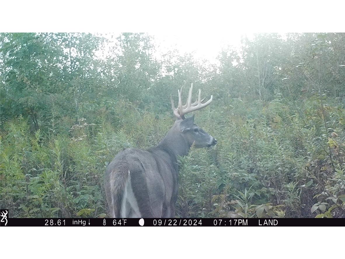 1581 50th Street Turtle Lake WI 54889 1597887 image13