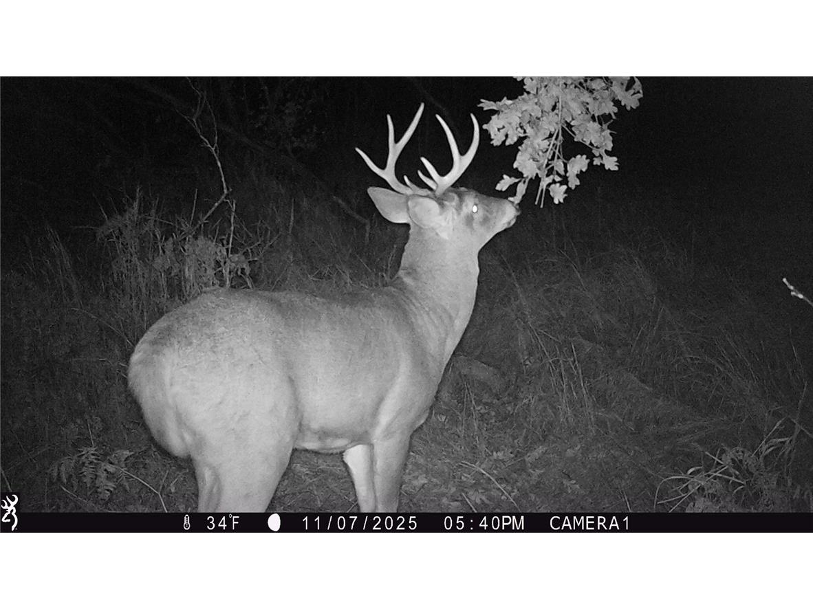 1581 50th Street Turtle Lake WI 54889 1597887 image15