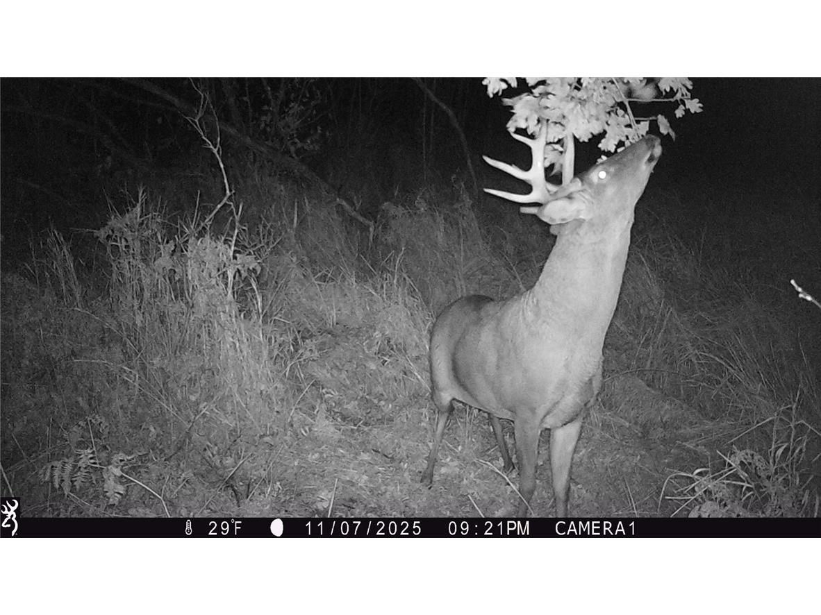 1581 50th Street Turtle Lake WI 54889 1597887 image16