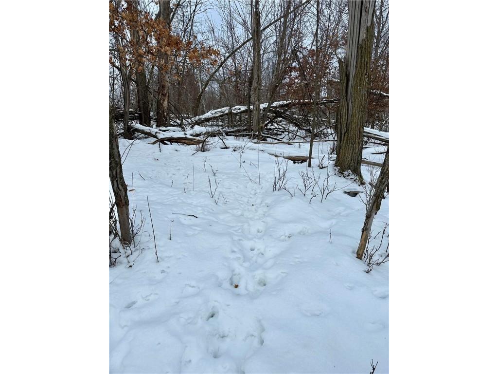 1581 50th Street Turtle Lake WI 54889 1597887 image17