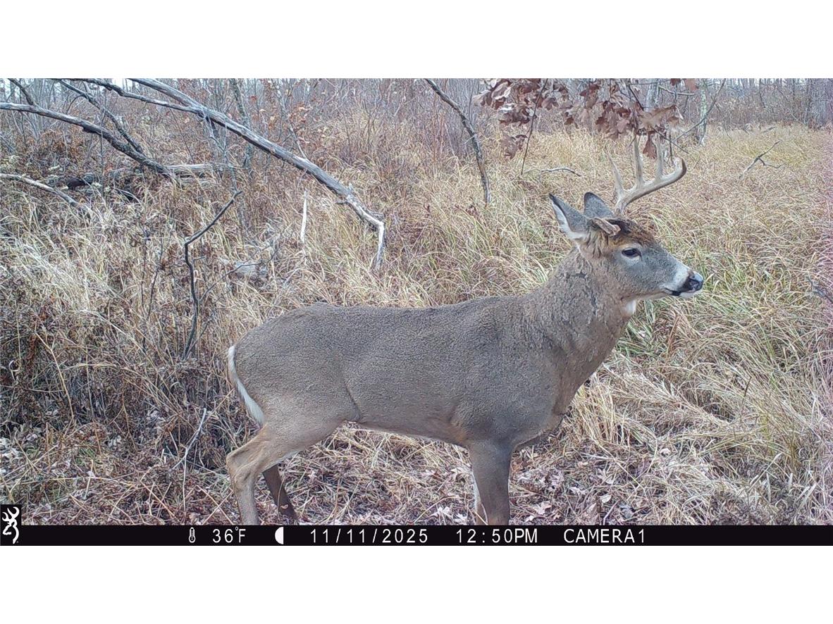 1581 50th Street Turtle Lake WI 54889 1597887 image18