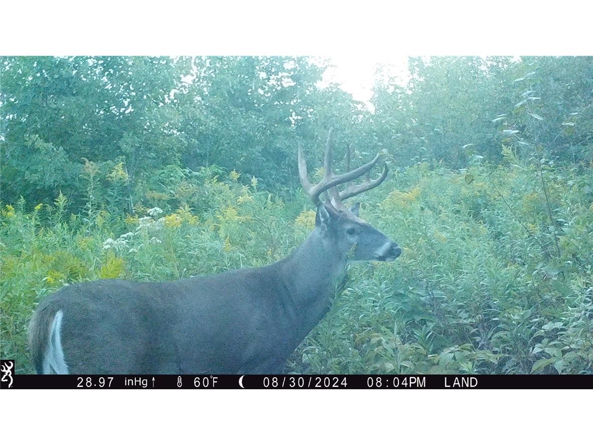 1581 50th Street Turtle Lake WI 54889 1597887 image20