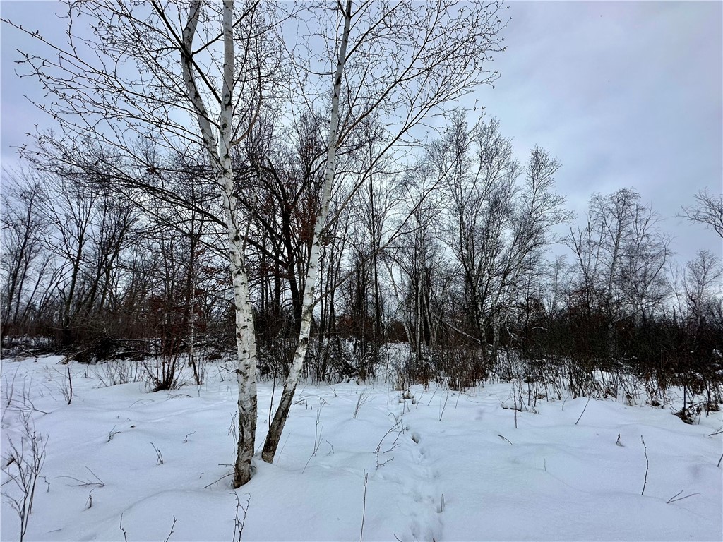 1581 50th Street Turtle Lake WI 54889 1597887 image21