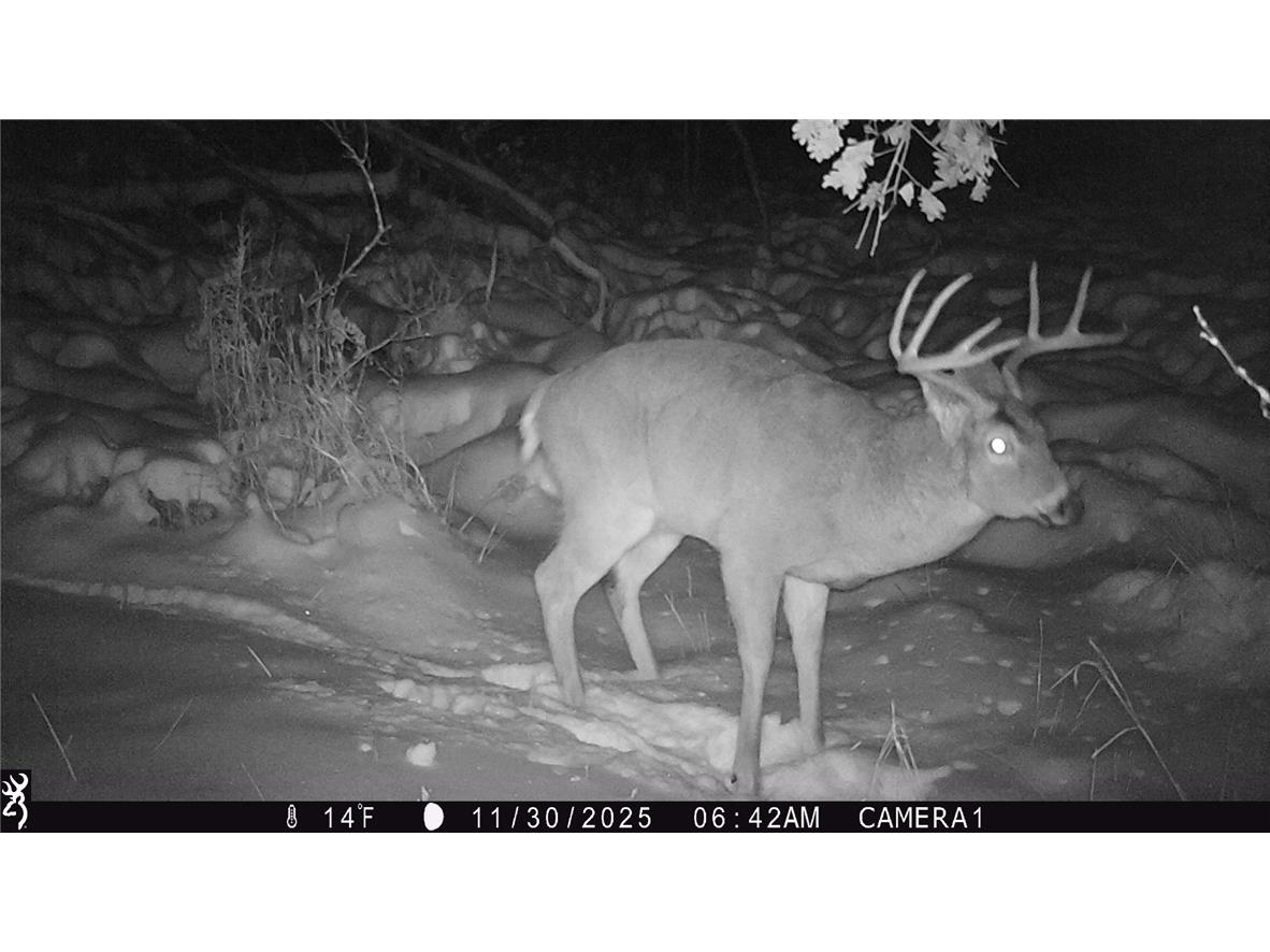 1581 50th Street Turtle Lake WI 54889 1597887 image22