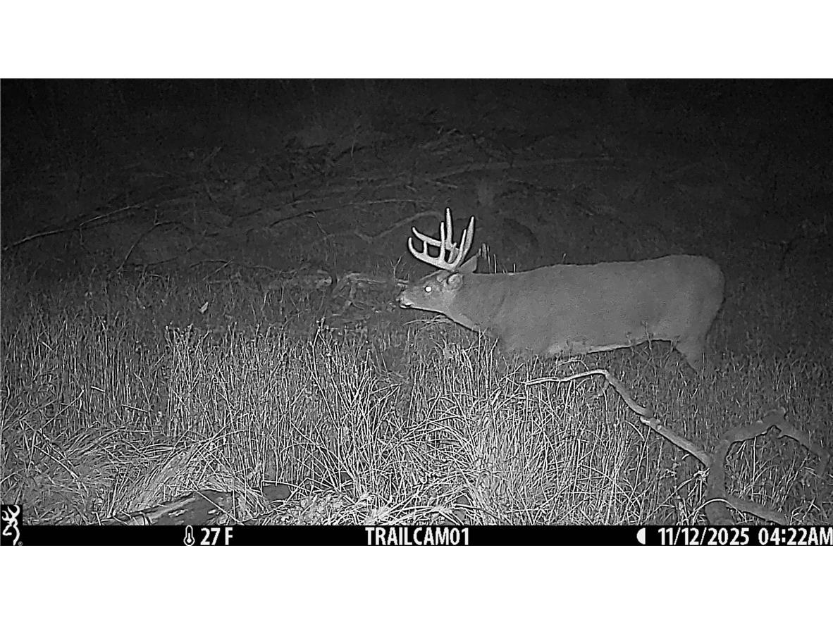 1581 50th Street Turtle Lake WI 54889 1597887 image24