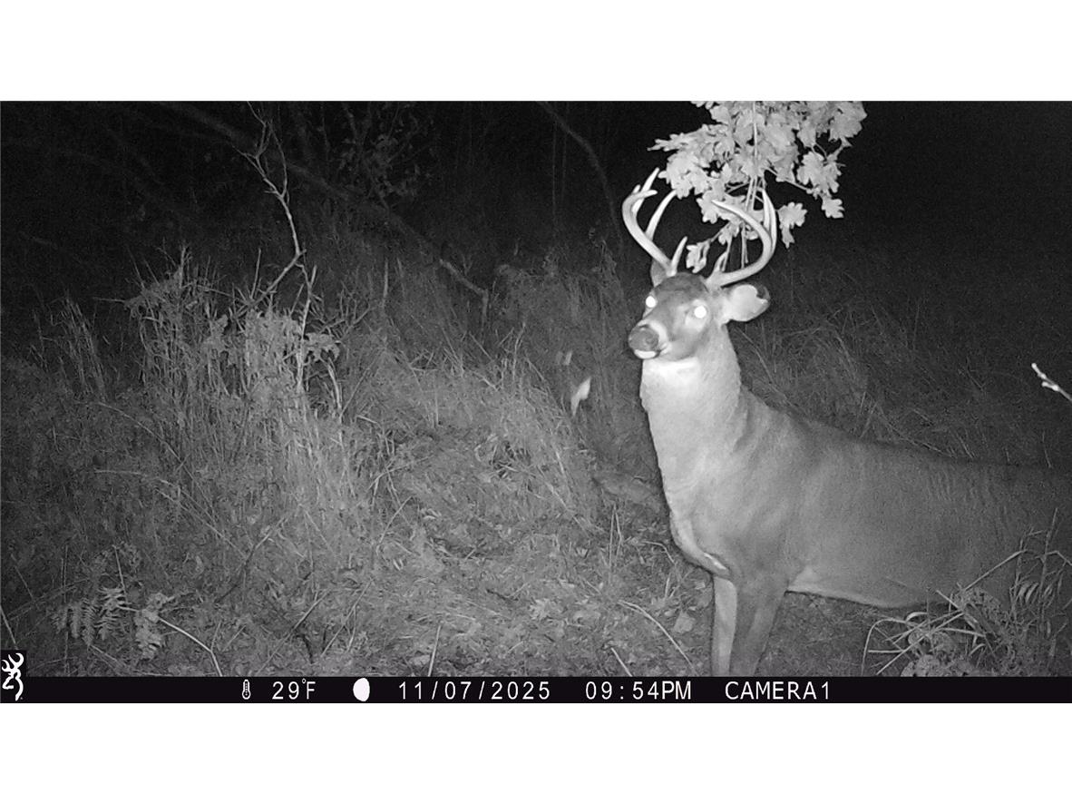 1581 50th Street Turtle Lake WI 54889 1597887 image26